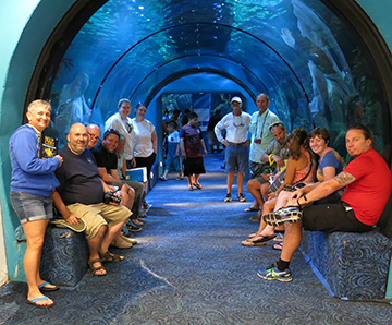 Teachers sitting on benches at either side of a glass tunnel that passes through the Caribbean exhibit at Moody Gardens