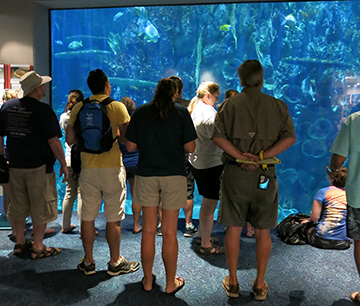 Teachers standing in front of an aquarium viewing panel to practice fish identification