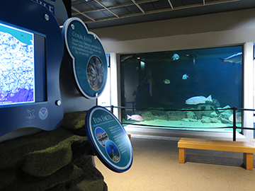 A portion of a video monitor and some exhibit graphics on the left with a view of the nearby aquarium tank to the right. A large grouper is visible in the aquarium.