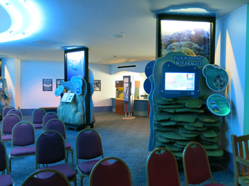 Two pieces of the travelilng exhibit in the Aquarium at Moody Gardens