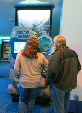 Two guests viewing the Bright Spot in the Gulf section of the exhibit