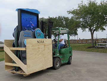 Forklift moving an 8-foot tall exhibit piece while it is still packed in a plywood crate.