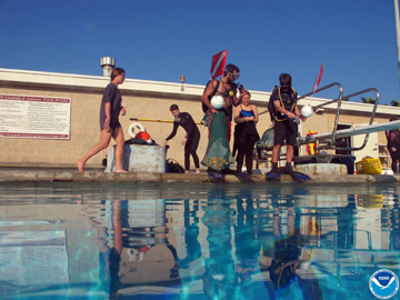 Divers standing at the edge of a swimming pool ready to jump in with all of their survey gear.