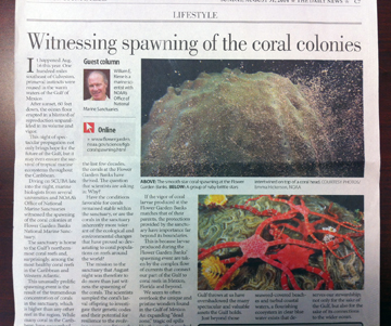 Image of article about coral spawning in Galveston Daily News