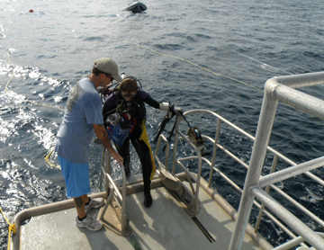 Diver boarding R/V MANTA from the starboard dive platform.