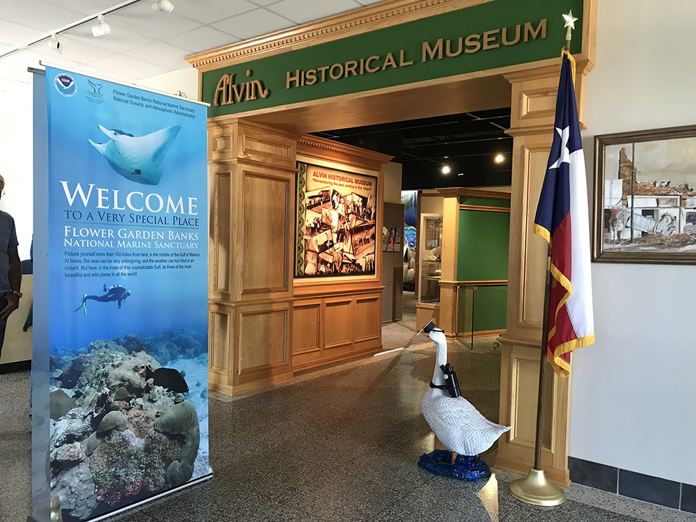 Exhibit welcome banner and goose statue at the interior entry of the Alvin Museum