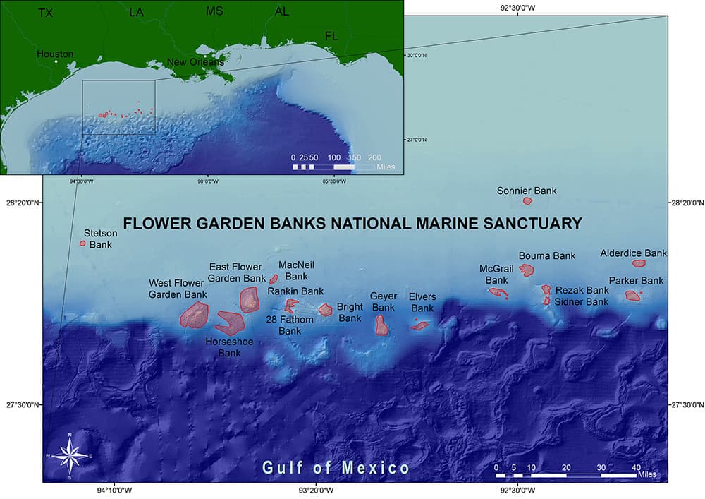 Bathymetric map of the banks and reefs of the northwestern Gulf of Mexico.  Lines are drawn around those features being recommended for addition to the sanctuary.
