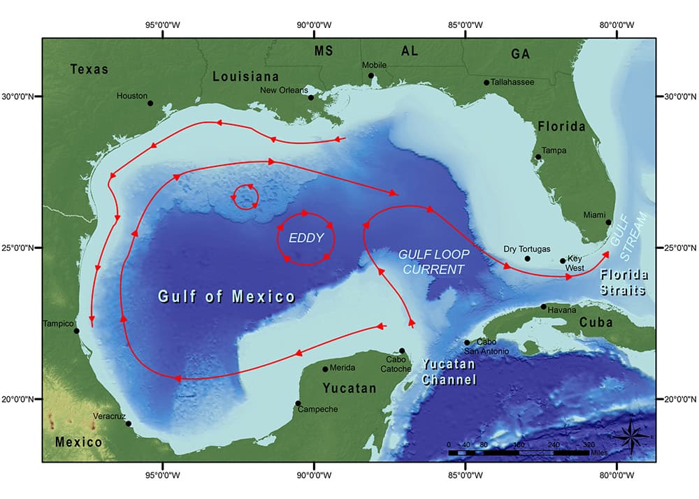 Map showing current patterns in the Gulf of Mexico