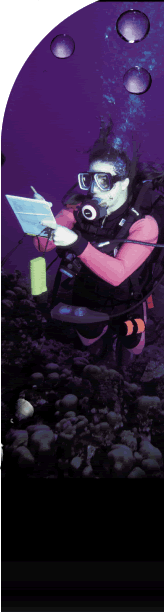 Female scuba diver, in a pink and black wet suit, holding a slate and pencil while working underwater.