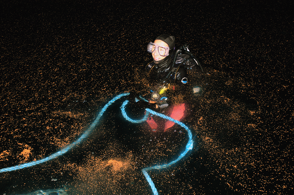 A scuba diver holding onto a blue rope and floating at the surface of the water surrounded by coral spawn