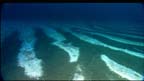 Stripes of white bacteria and salt on the brown seafloor