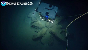 An ROV hovering above an asphalt extrusion from the deep sea floor in the shape of a flower