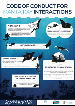 Poster showing Code of Conduct for Manta Ray Interactions. Photographs: Avoid excess flash photography when photogrphing mantas. Do not point your flash directly into their eyes. If you happen to photograph the spot pattern on the underside of a manta ray, please submit it to MantaMatcher.org to help us learn more. Please look, but do not touch. Touching a manta ray invades their personal space and can disturb their behavior or lead to shorter interaction times. Try to stay 10 feet away from a manta. If a manta approaches you remain still, maintain good buoyancy and let the manta control the interaction. Do not enter cleaning stations. Cleaning stations are important in maintaining the health of manta rays and other fish by removing parasites and cleaning wounds or infections. Be careful not to touch or damage marine life. If you need to hold onto the reef, ensure you are holding on to rock or dead coral.