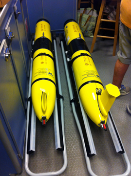 Two underwater gliders sitting in racks on the floor.