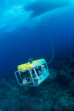 Mohawk ROV cruising above a coral reef with the silhousette of a boat visible above.