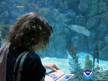 Looking over the shoulder of a teacher with a fish ID book standing in front of an aquarium window at Moody Gardens as a stingray swims by
