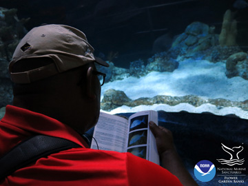 Looking over the shoulder of a teacher using a fish ID book in front of an aquarium window.