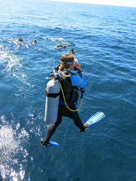 Diver making a giant stride jump six feet down to the water. Other divers already in the water are clustered along a line floating at the surface of the water beyond the jumping diver.