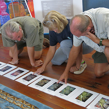 Three teachers looking at a time series of reef photos laid out on the floor
