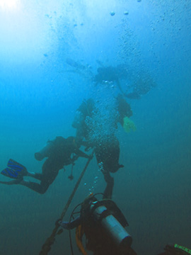 Six divers holding on to a mooring line underwater as they slowly surface.