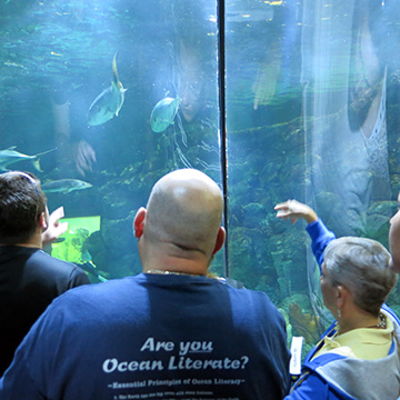 Kelly (right) pointing at fish in the Caribbean aquarium exhibit as two teachers (to her left) look on.