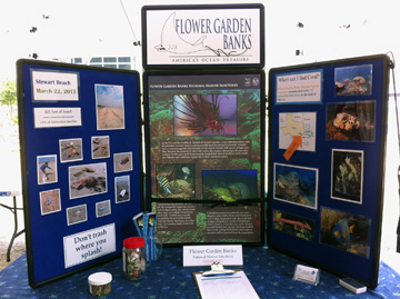 Trifold display board about lionfish and marine debris set up on table.