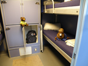 A plush sea lion toy sits on the bottom of two bunk beds to the right.  A plush bear toy sits on the open door of a storage cupboard to the left.