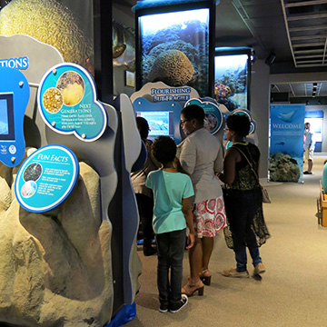 A family of four looking at the Flourishing But Fragile section of the Reef on the Road exhibit