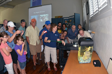 Crowd gathered around a small fish tank to watch a lionfish feed.