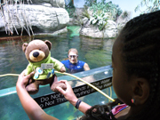 Ed the Bear poses in front of the exhibit while an aquarium worker floats in the water behind him.