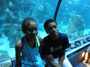 Two students watching fish and divers in the aquarium.
