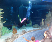 Sanctuary diver waves at the group viewing from the tunnel.