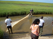 Students helping a park volunteer pull a net through a roadside waterway.