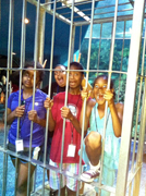 Students inside a shark cage at the aquarium.