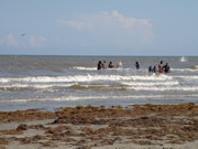 Two groups of people in the waves at the beach learning to surf.