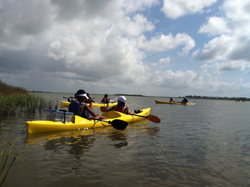 Students kayaking near some marsh grasses.