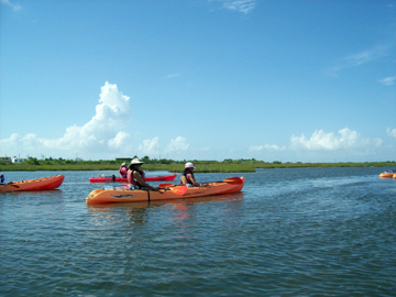 Students kayaking in a marsh area with tall grasses in the background.