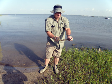 Man holding a snake found in the marsh where he is standing.