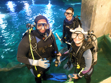 Three divers in full gear standing in the topside entry pool of the Caribbean exhibit at Moody Gardens.