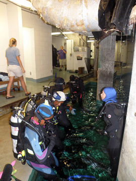 A group of divers in full gear standing in the topside entry pool of the Caribbean exhibit at Moody Gardens.