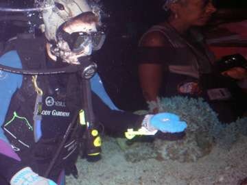 A diver wearing a hammerhead shark-shaped hood and holding out a handful of sharks teeth for aquarium guests to see.