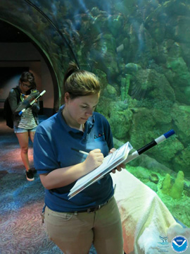 Two students practicing fish survey methods from inside a tunnel of a large aquarium exhibit.