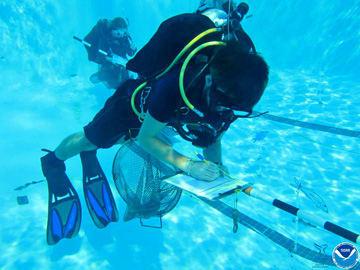 An underwater view of a diver in a swimming pool writing on a clipboard while floating above the bottom. Another diver is visible in the background.