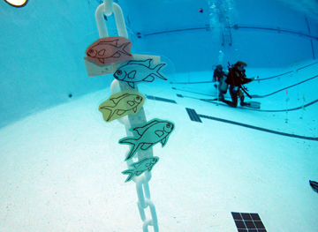 A scuba diver in a pool with fish pictures attached to a floating plastic chain in the foreground.