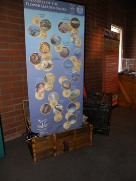 Display banner showing the treasures of Flower Garden Banks Naitonal Marine Sanctuary as coins falling into a treasure chest.