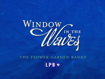 Window in the Waves documentary title page