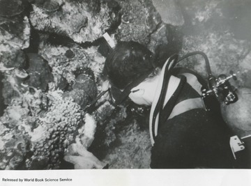 Diver looking at corals at the Flower Garden Banks in 1967