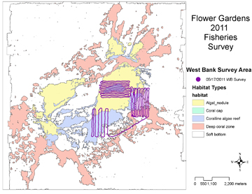 Map of West Flower Garden Bank showing the path taken by the ROV