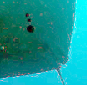 Digital enhancement showing spot pattern on lower belly of manta ray M34.