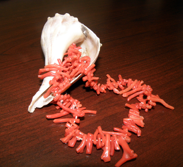 A coral necklace draped around a seashell